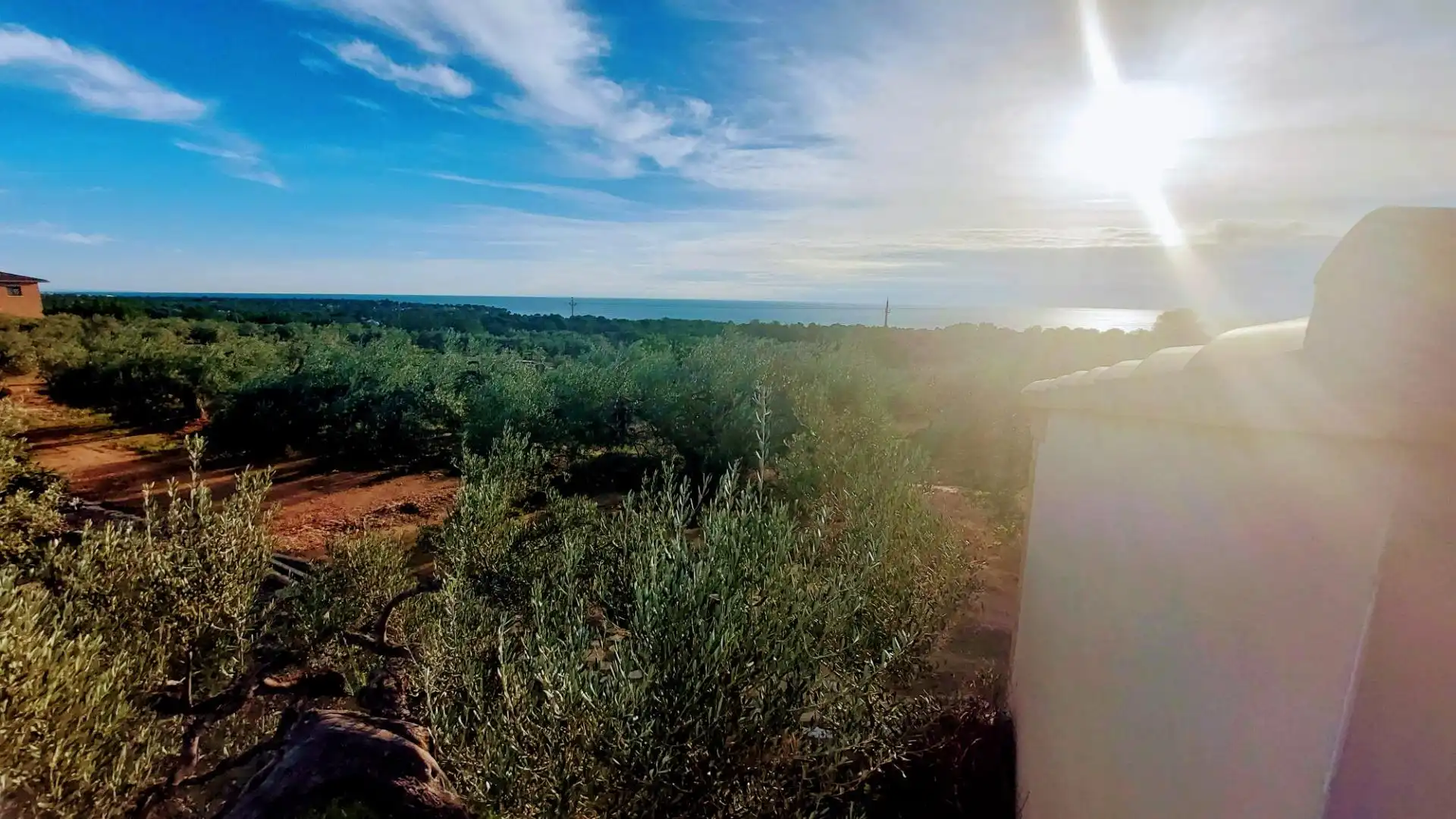 Finca rústica en venda en L'Ametlla de Mar  amb Jardí privat, Terrassa i Moblat
