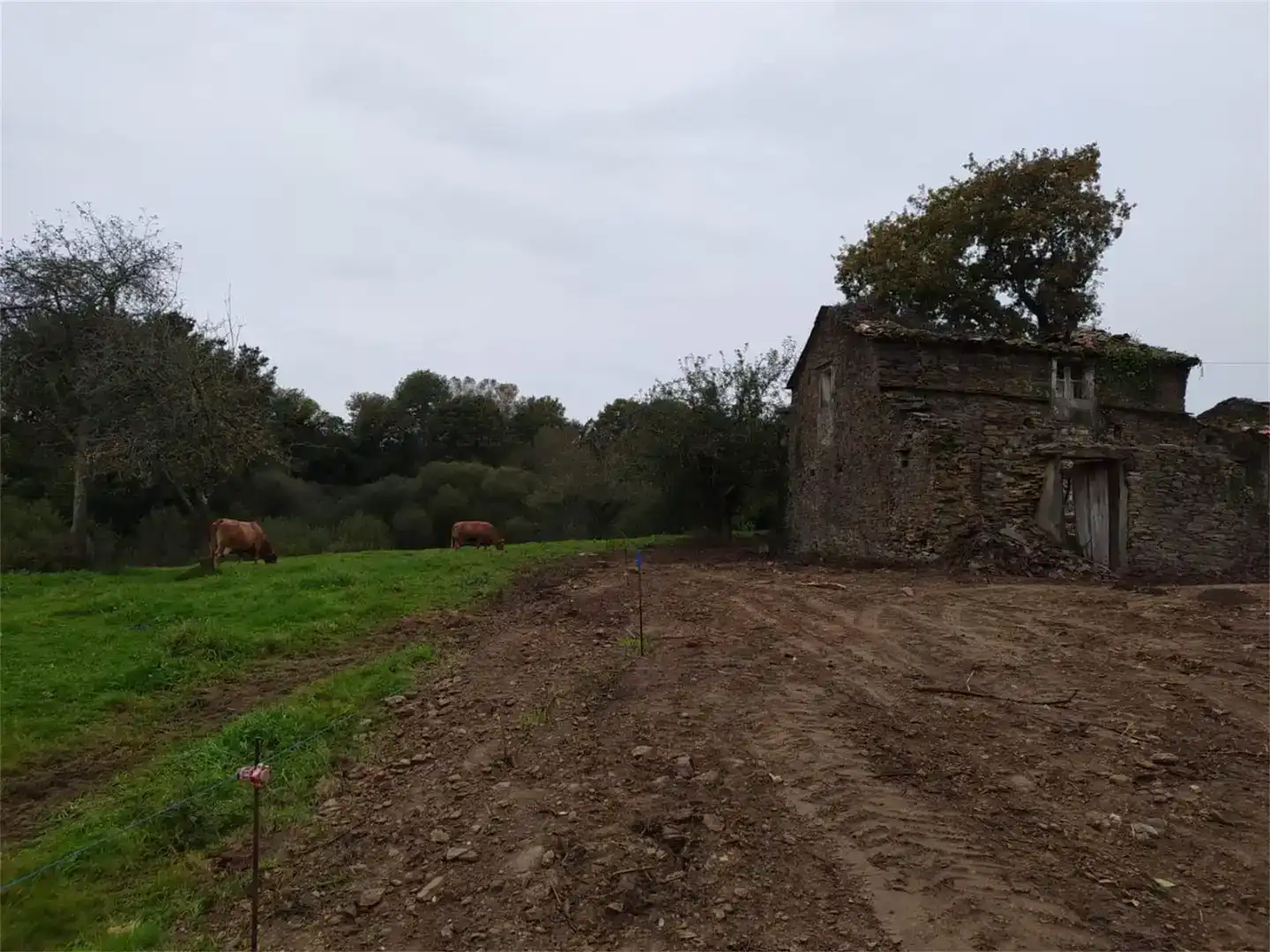 Finca rústica en venta en Frades