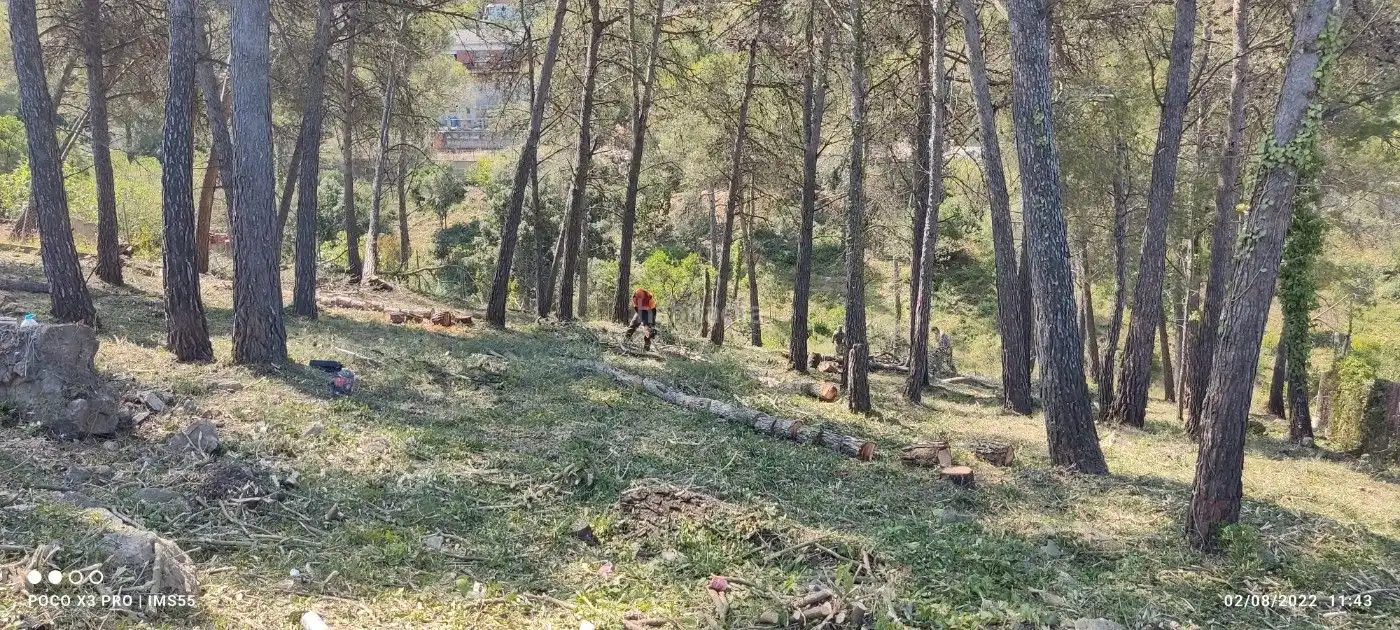Terreno residencial en venta en Carrer Avenç 12, imagen 2