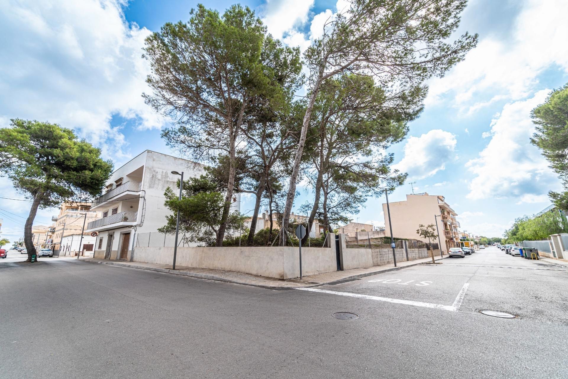 Exterior view of Land for sale in Manacor
