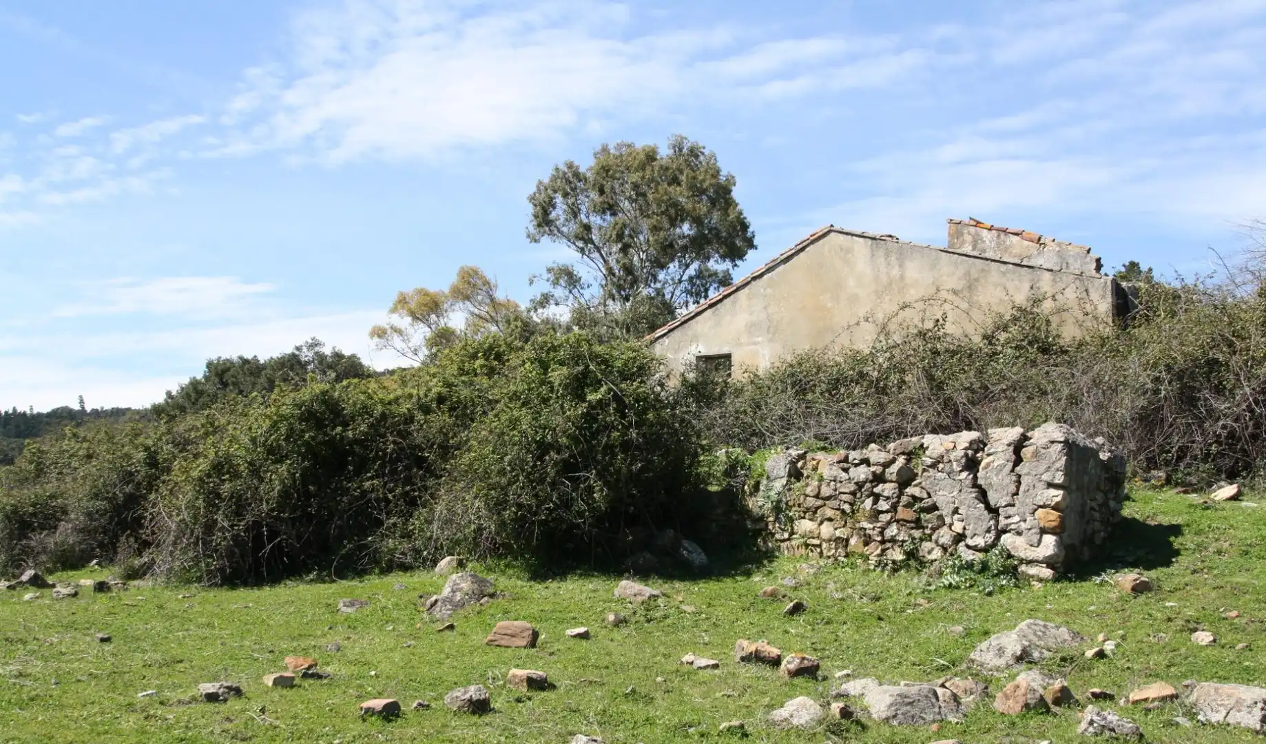 Terreny residencial en venda a Cortes de la Frontera, imagen 2