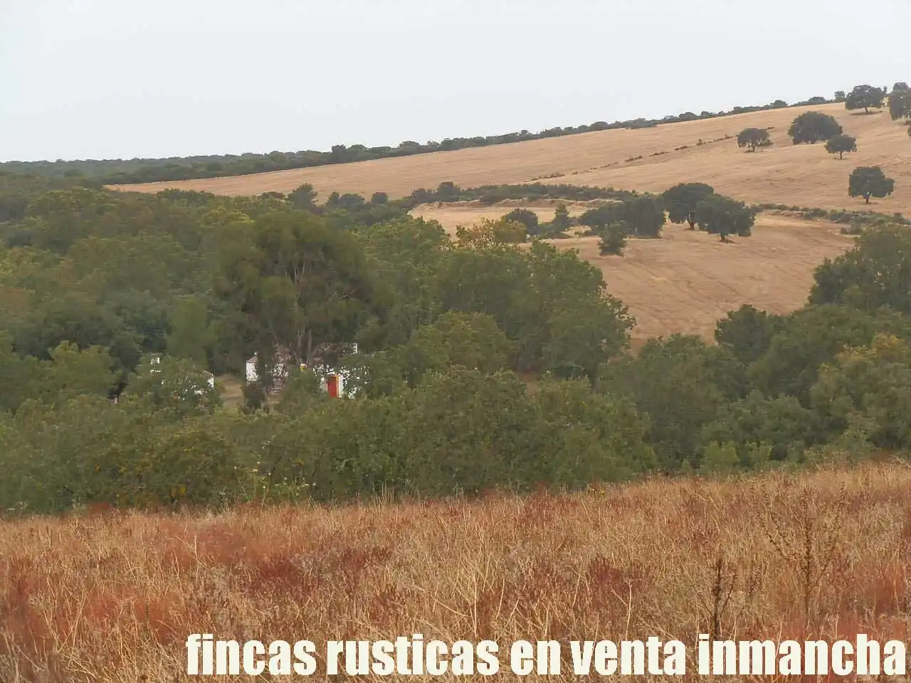 Land for sale in Abenójar