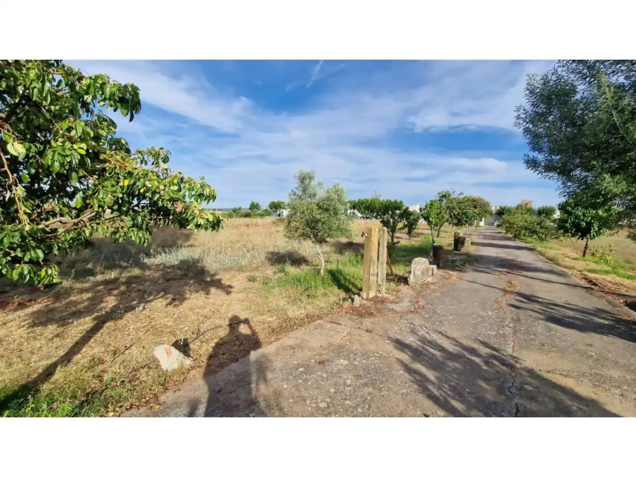 Casa o chalet en venta en Ciudad Rodrigo con Jardín privado, Terraza y Piscina