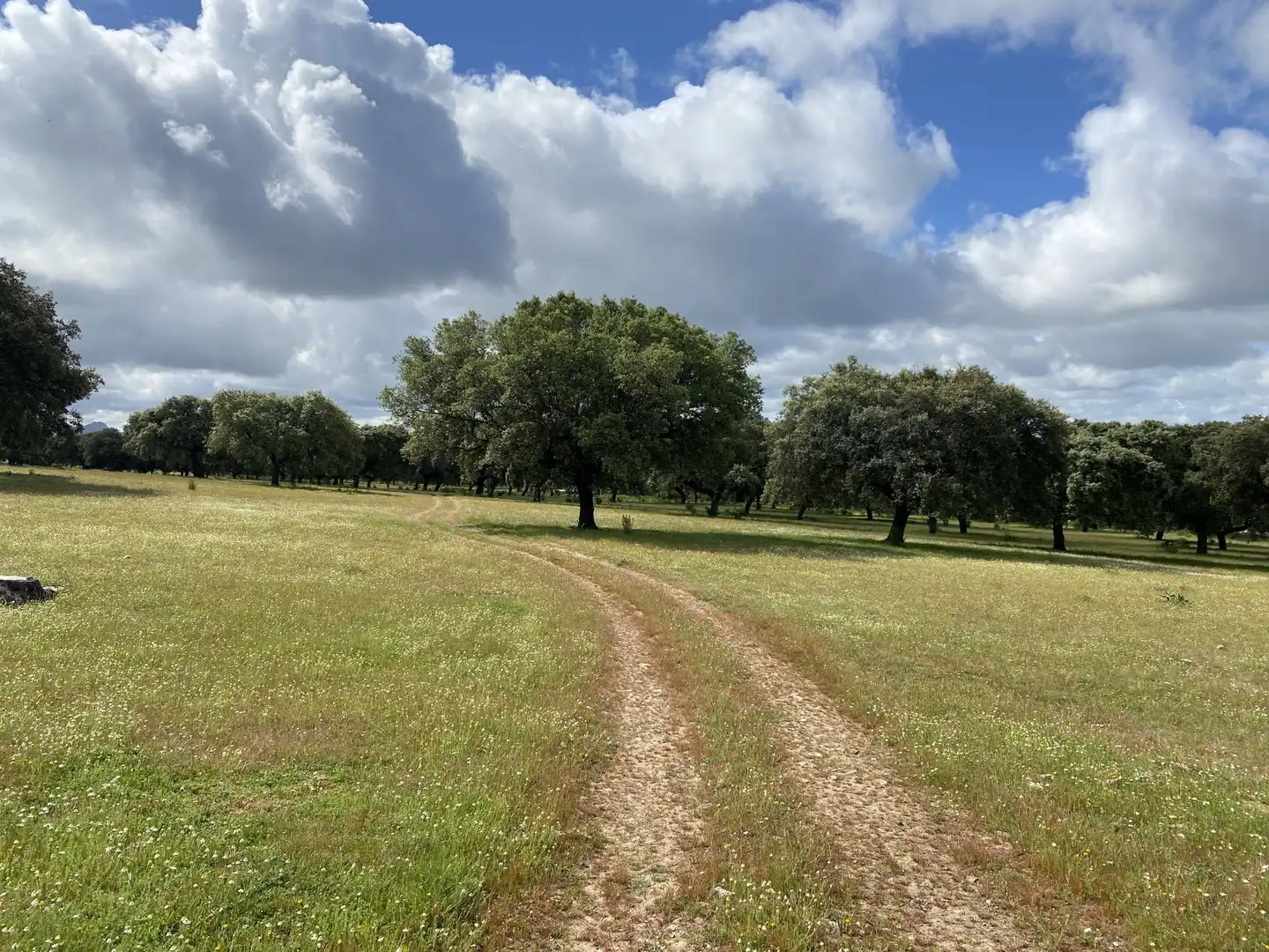 Terreno en venta en Deleitosa