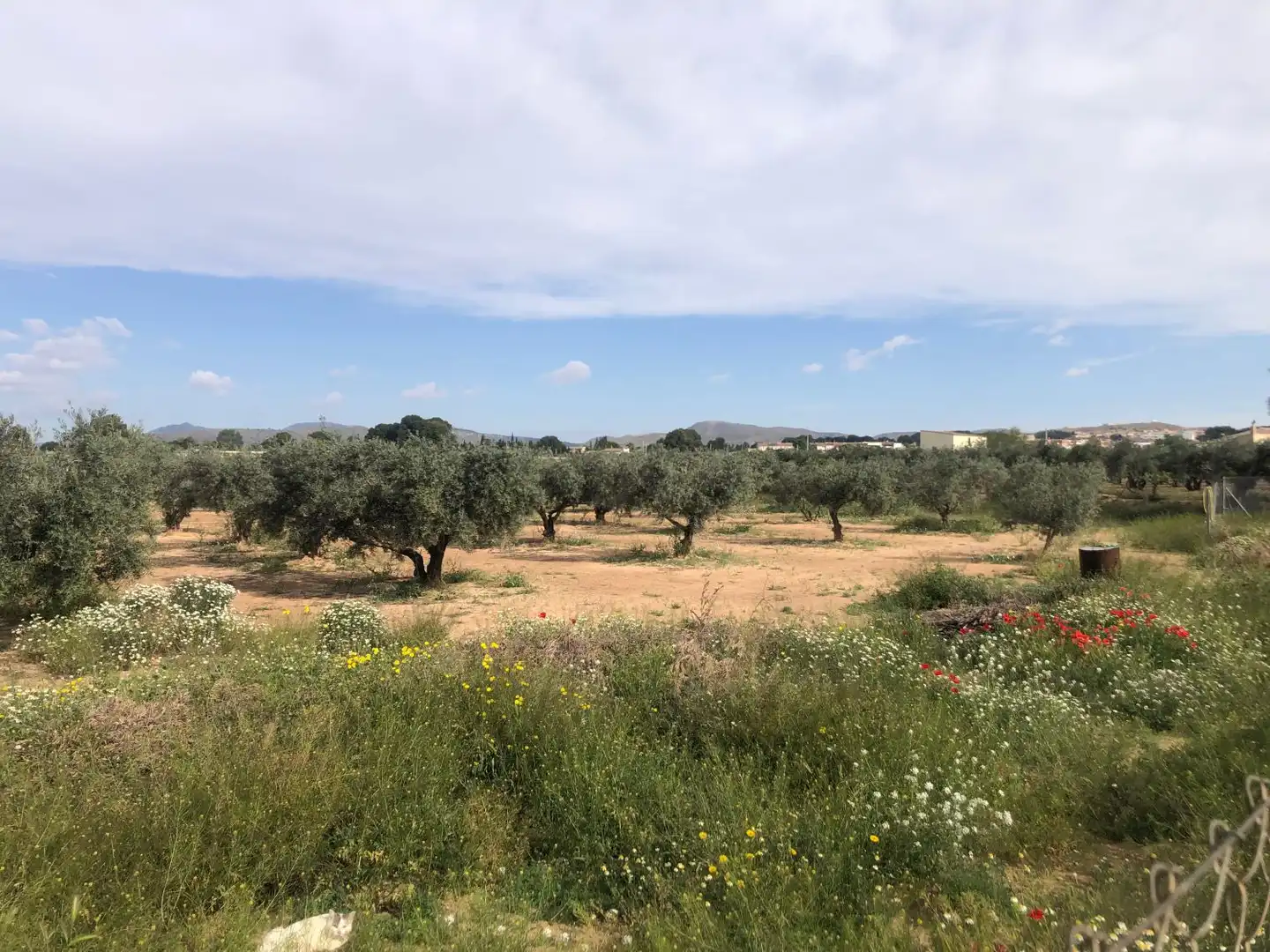 Terrenos y solares en venta en Hellín, imagen 5