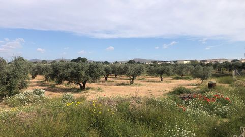Terreno en venta en Campos Hellin Rusticos., immagine 5