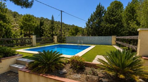 Foto 2 de Finca rústica en venta en Partida Cotxinets Els, Petrer, Alicante