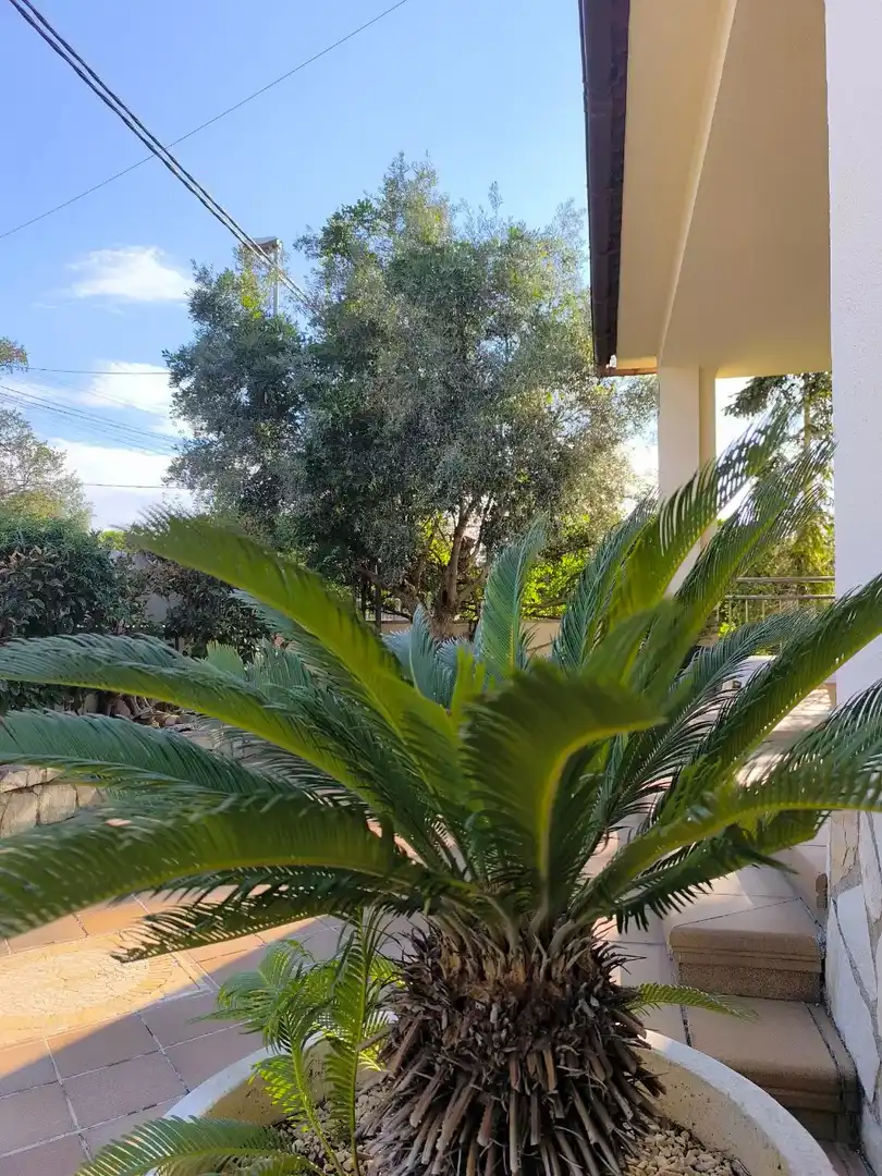 Xalet amb piscina en venda a Niàgara Parc - Àgora Parc, imagen 50