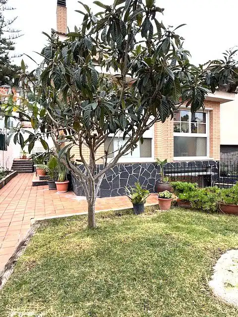 Jardín de Casa o chalet en venta en Sant Boi de Llobregat con Aire acondicionado, Calefacción y Jardín privado