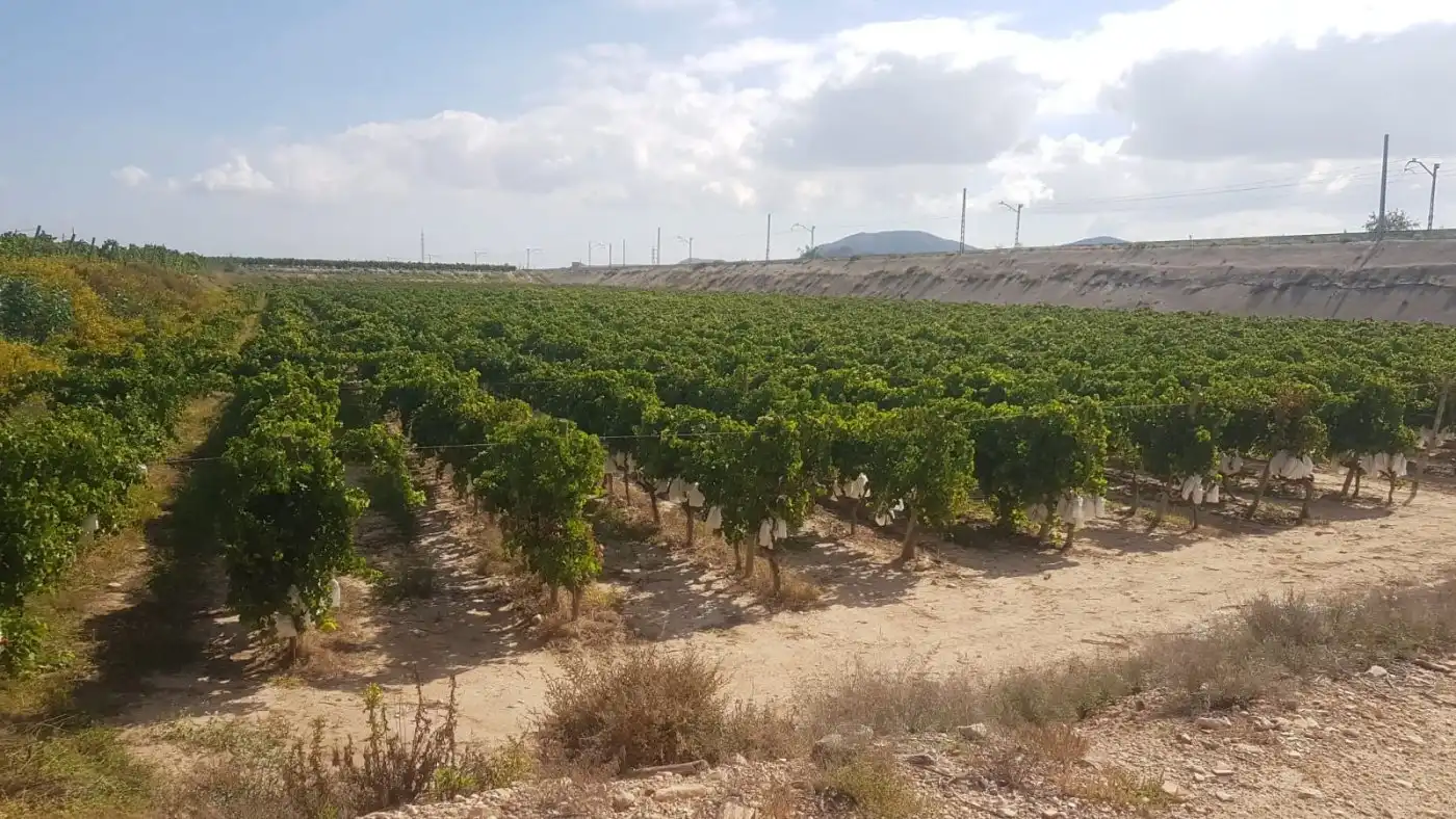 Casa rústica en venta en Calle PARAJE MALLAES , POLIGONO 35 , PAR 7, imagen 9