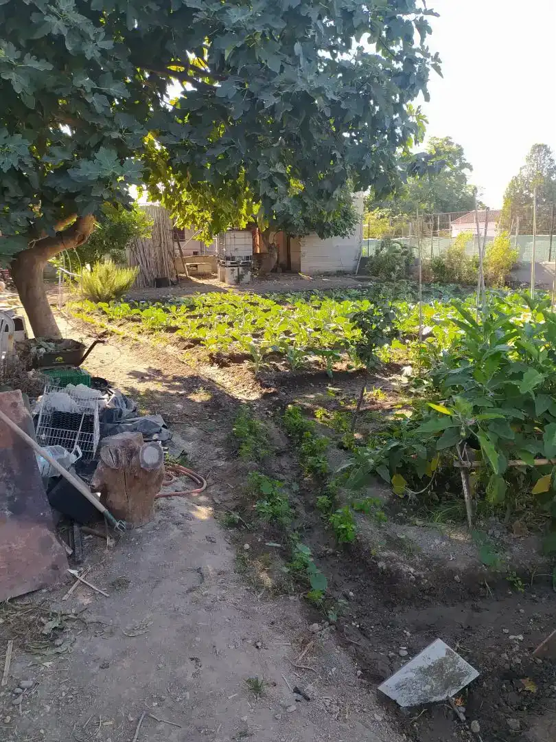 Finca rústica en venda en  Granada Capital