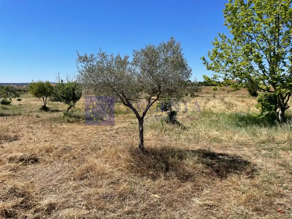 Finca rústica en venda a Finca Villa Amalia, Valdesalor - Rincón de Ballesteros
