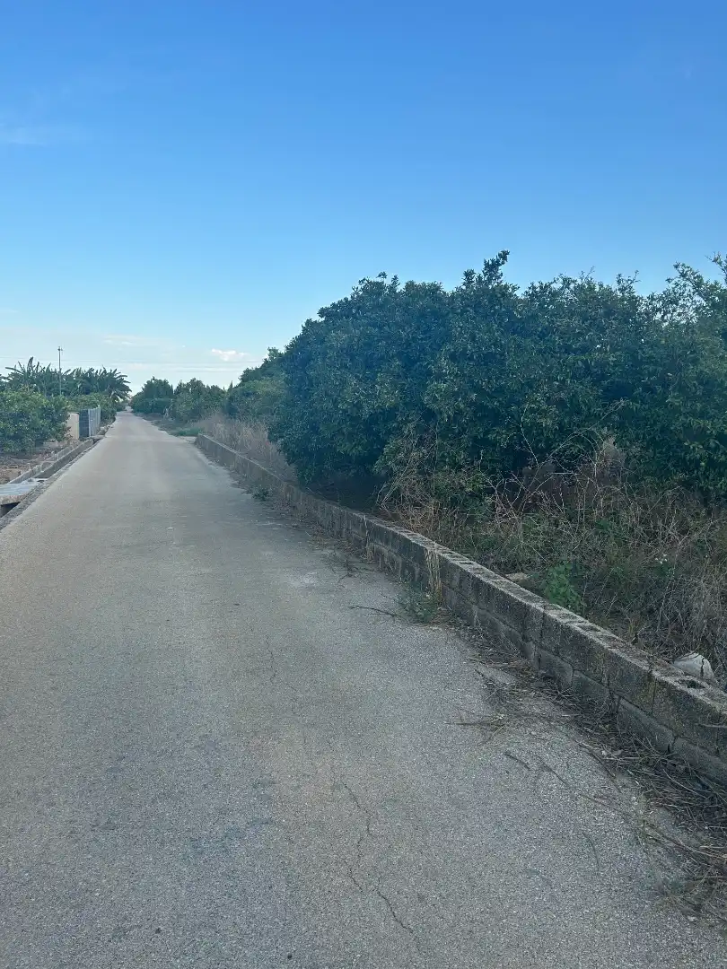 Terreny rústic en venda a Palma de Gandia, imagen 8