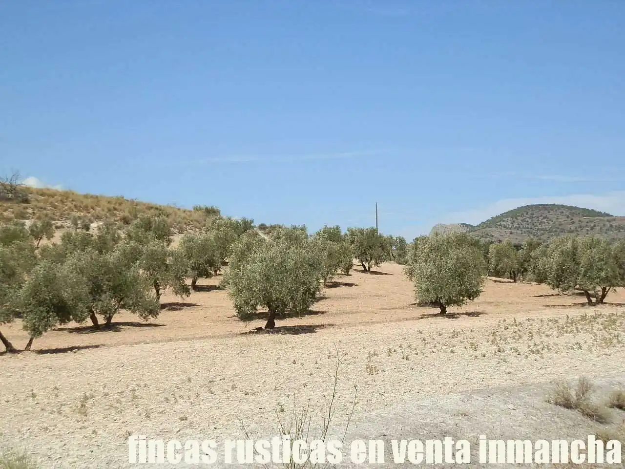 Terreni e lotti in vendita a Cabra del Santo Cristo, imagen 6