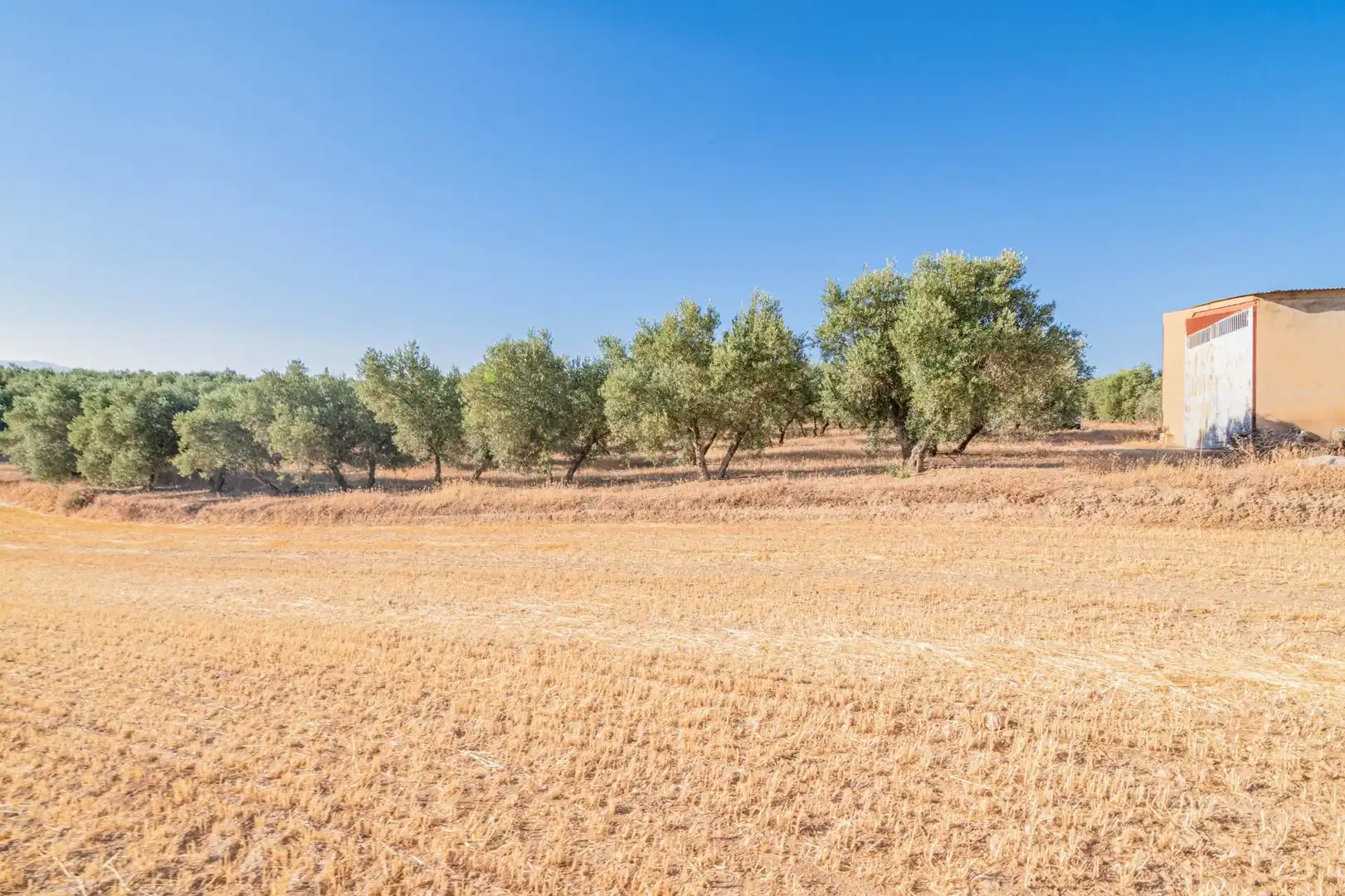 Apartments for sale in Santa Fe