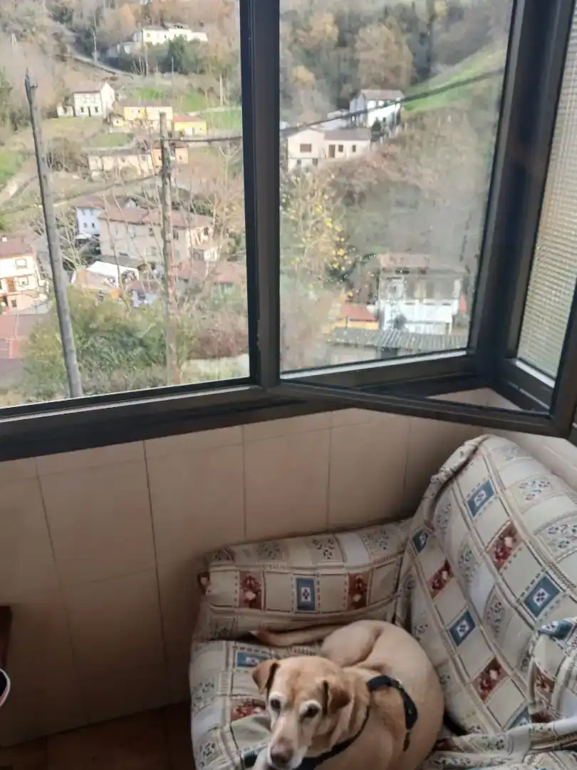 Terrassa de Pis en venda en Langreo amb Moblat