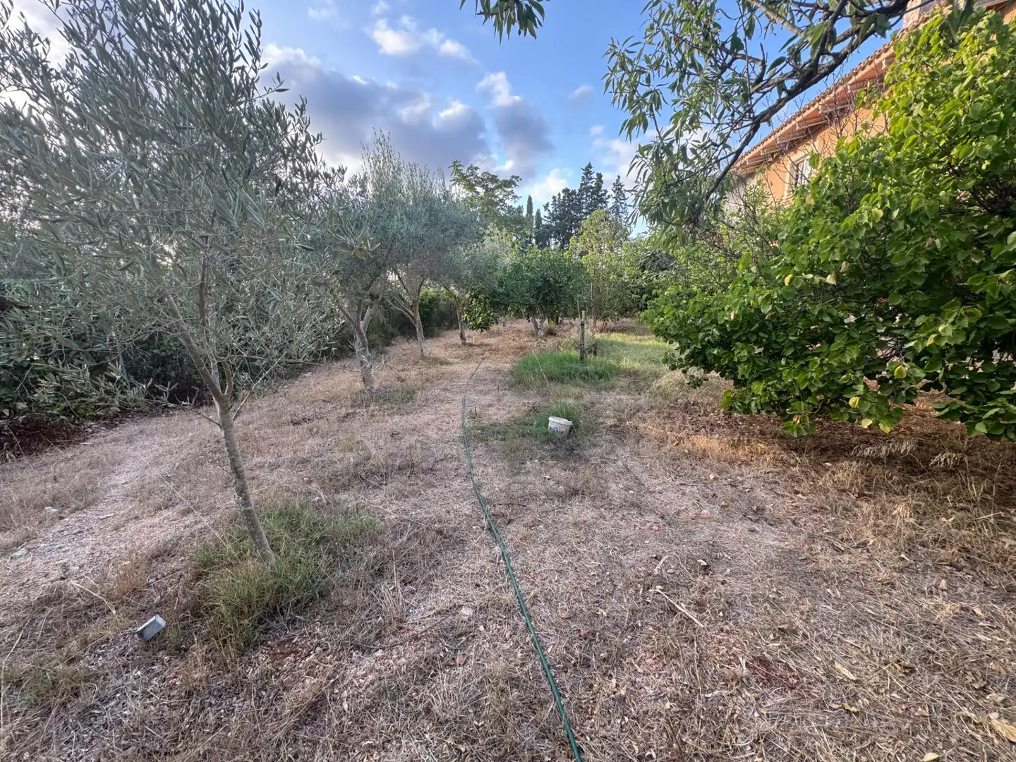 Finca rústica en venta en  Palma de Mallorca con Jardín privado, Terraza y Trastero