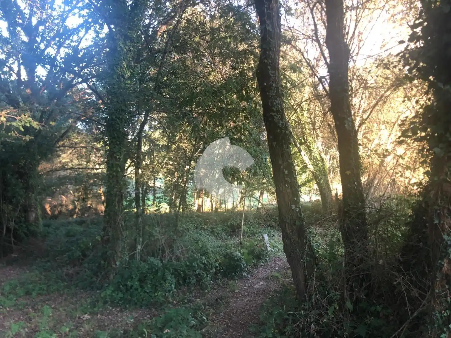 Terreni e lotti in vendita a Nogueira de Ramuín, imagen 54