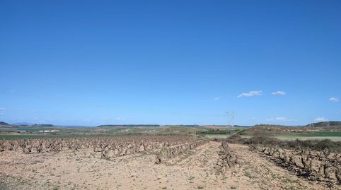 FINCA RÚSTICA - ALBERITE (), immagine 3