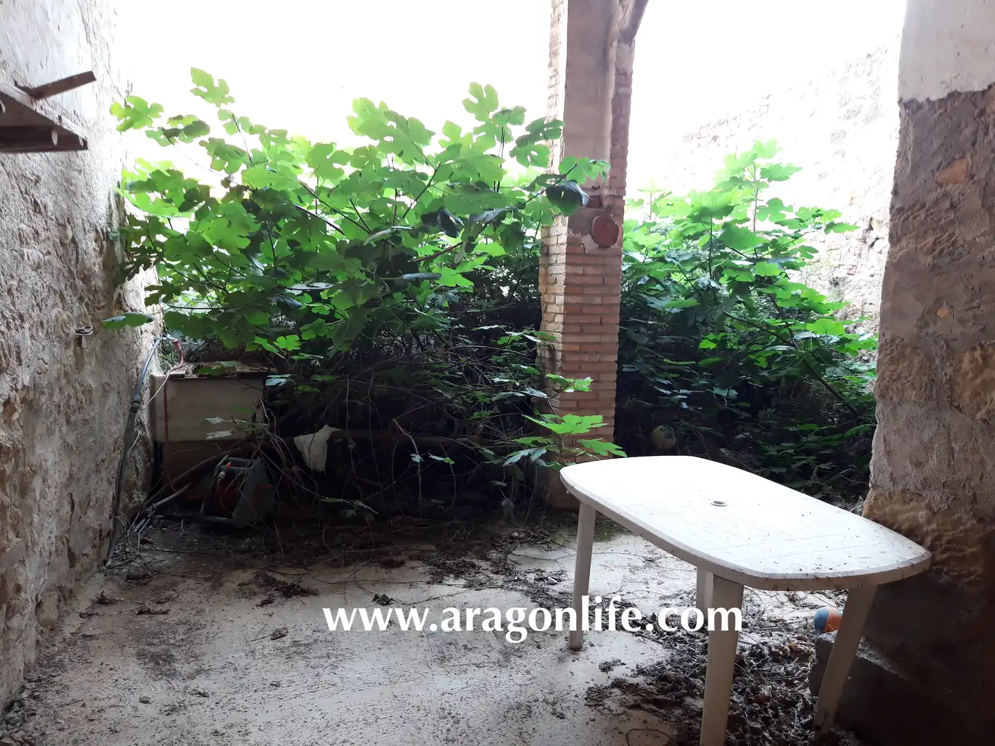 Garden of Houses for sale in Maella  with Furnished, Oven and Washing machine