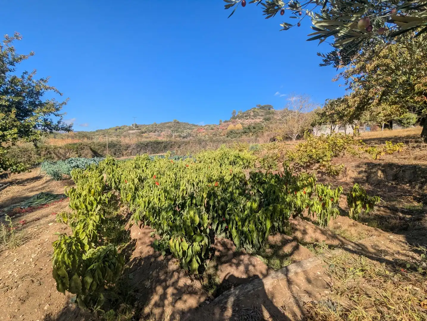 Terreno rustico in vendita a Estella / Lizarra, imagen 10