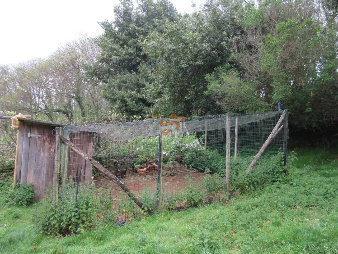 Landhaus mit Garten zum Verkauf in As Somozas, imagen 12