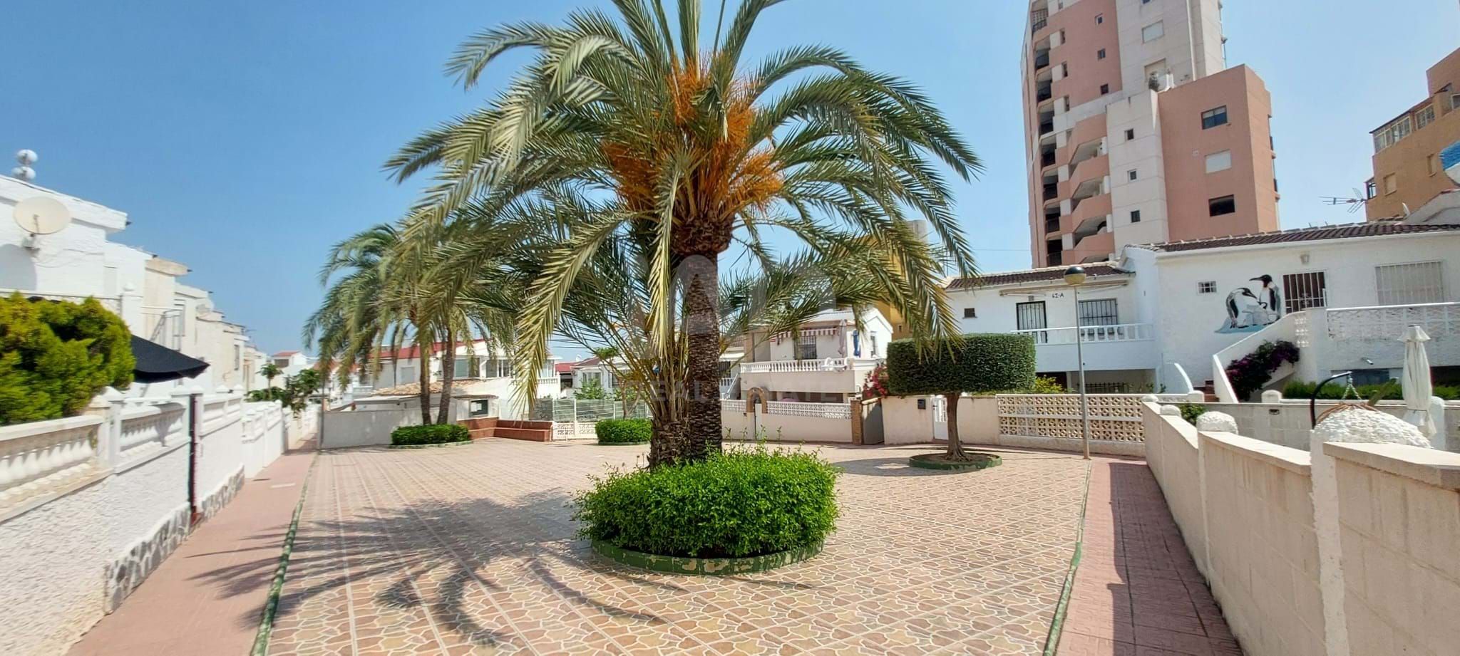 Vista exterior de Casa o xalet en venda en Torrevieja amb Aire condicionat, Calefacció i Terrassa