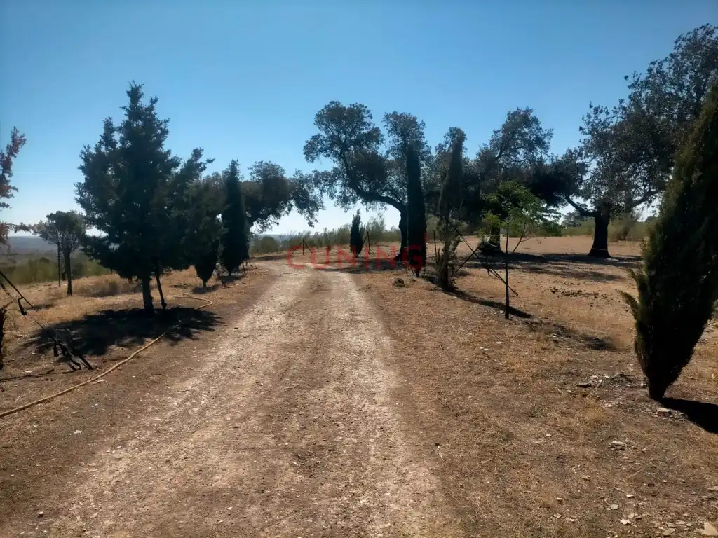Maison rustique à vendre à Poligono 2 Paraje 95 Dehesa Boyal, imagen 40