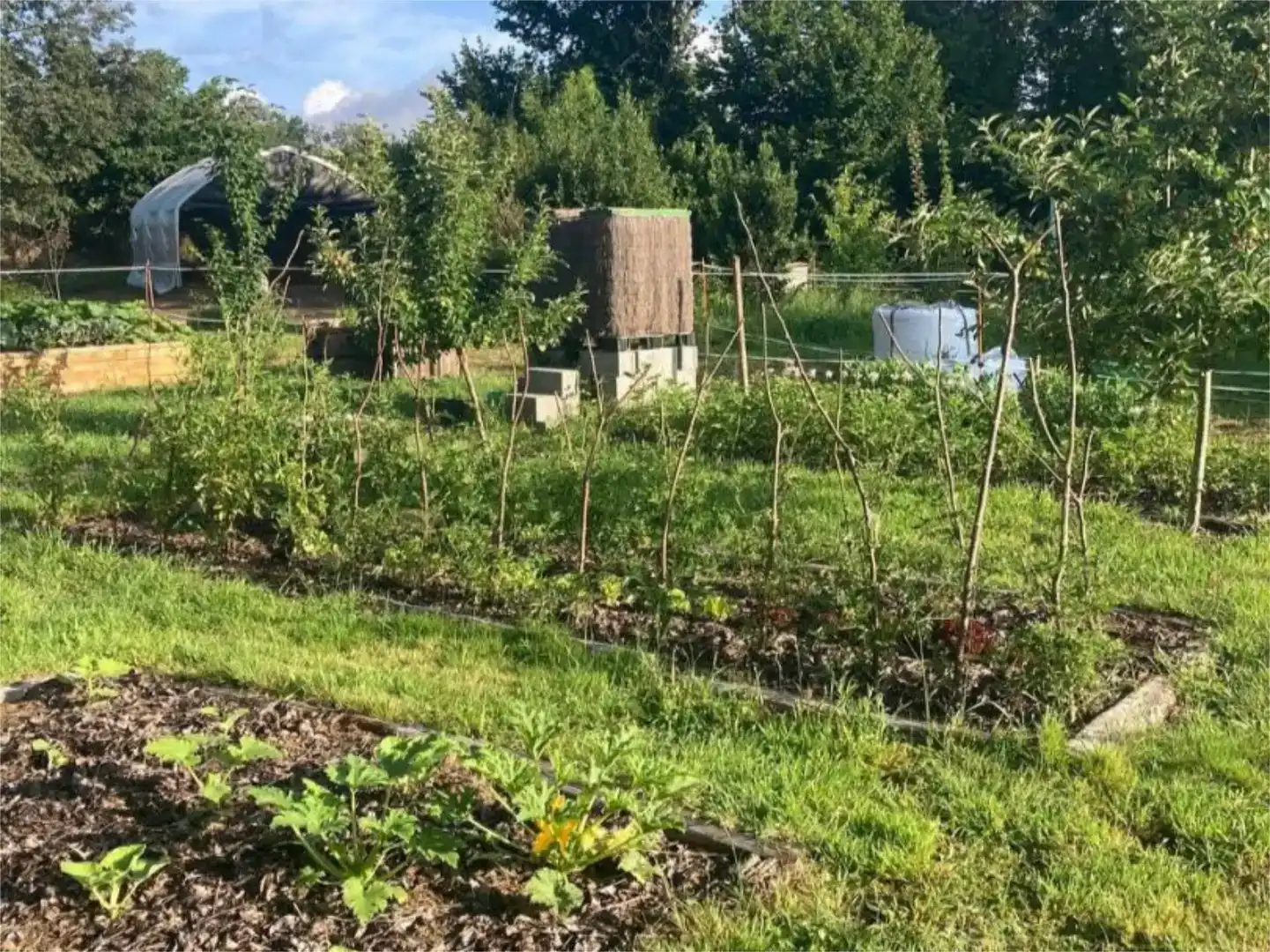 Finca rústica en venda en Pantón