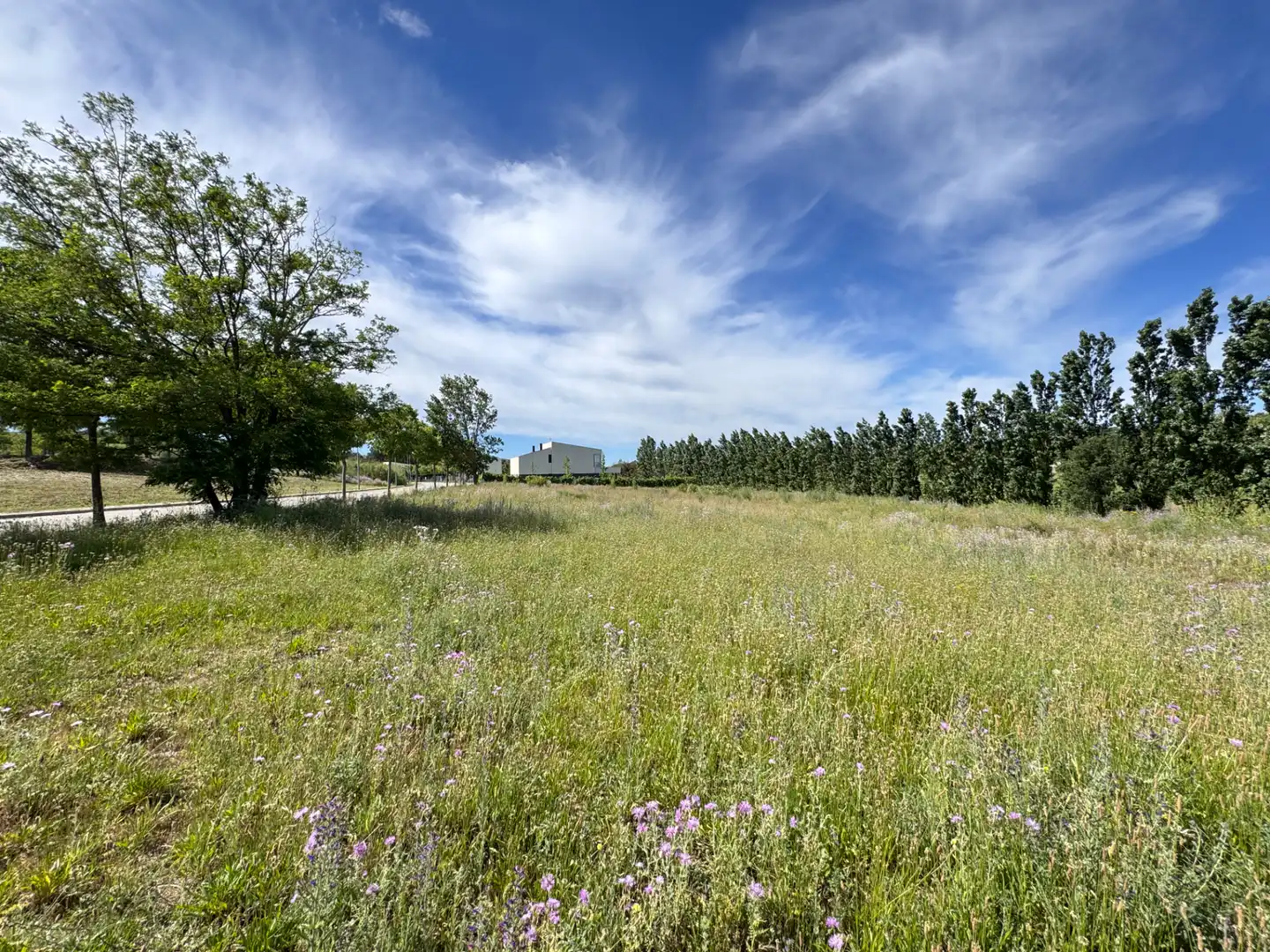 Terreny residencial en venda a Carrer Manso Villalba 88, imagen 5