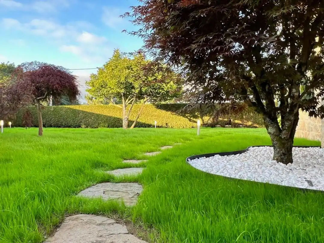 Jardí de Casa o xalet en venda en Santiago de Compostela  amb Terrassa, Piscina i Balcó