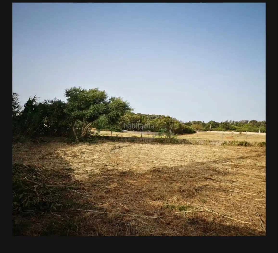 Rural land for sale in Carril del Palillero 355, imagen 5