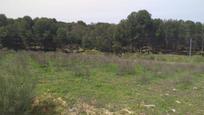 Industrial land for sale in Láchar, imagen 1