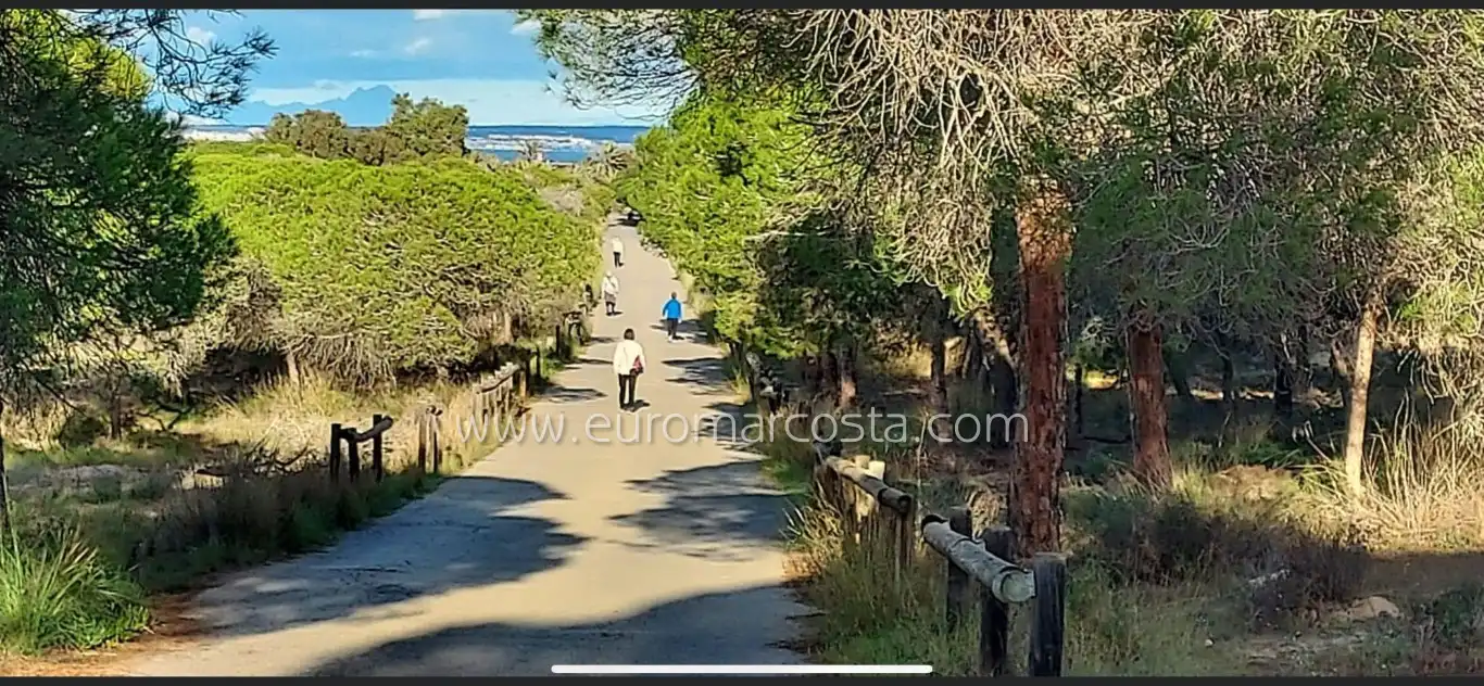 Chalet con piscina en venta en Calle José Carreras, imagen 39