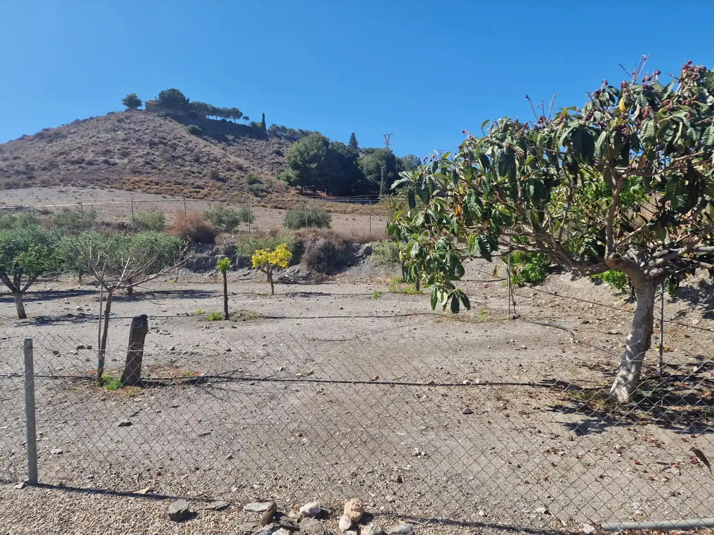 Casa o xalet en venda a Tébar - Los Arejos