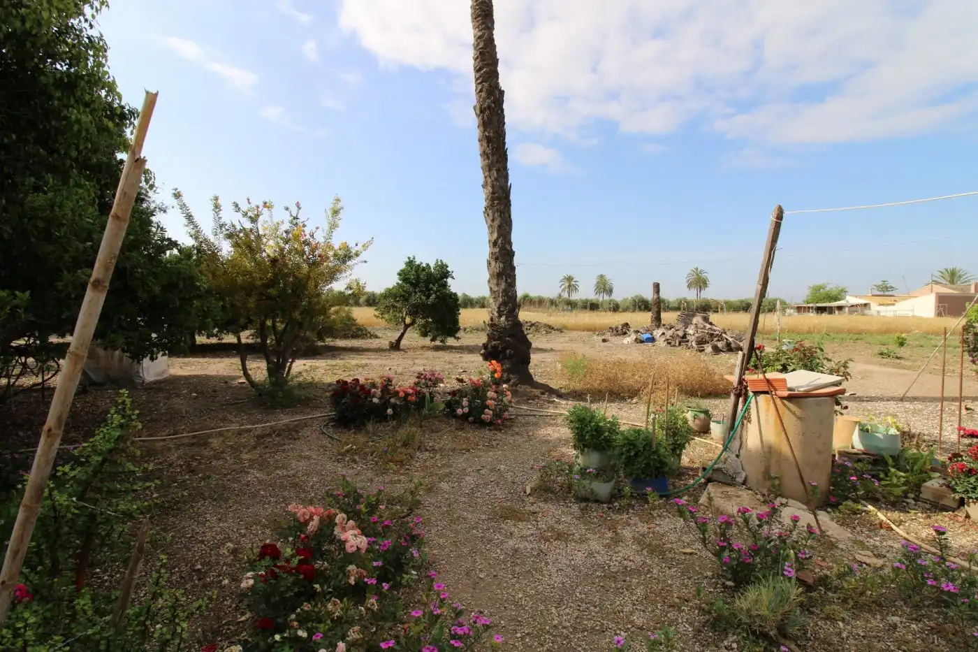 Villa con giardino in vendita a La Foia - Daimés - Asprella, imagen 42