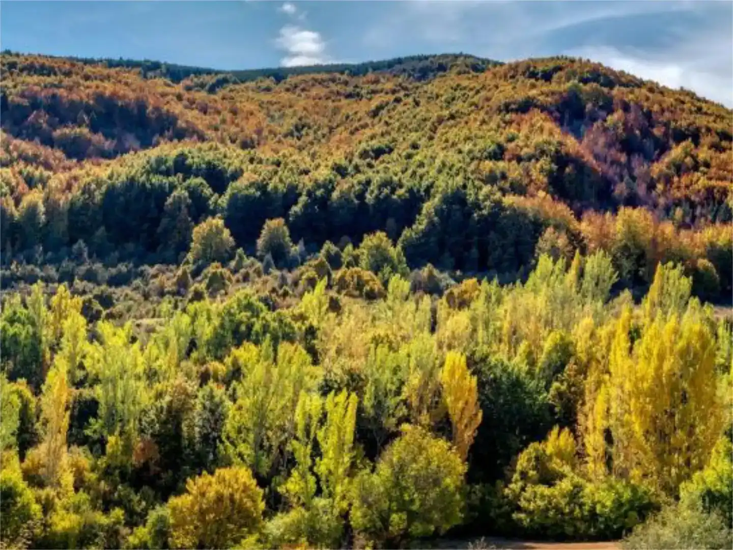 Vista exterior de Casa o xalet en venda en Villar del Río amb Jardí privat, Parquet i Moblat