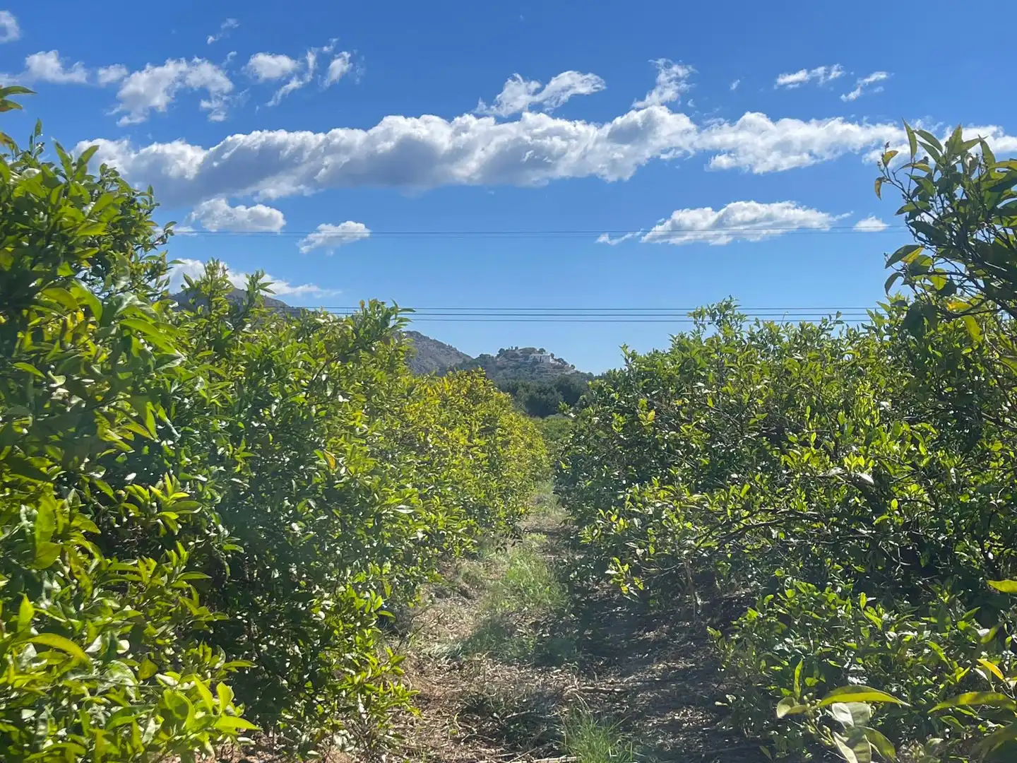 Grundstücke zum Verkauf in Castellón de la Plana / Castelló de la Plana