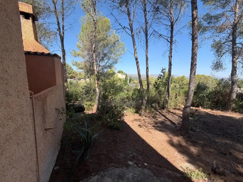 Casa o xalet en venda en Alberic amb Jardí privat, Terrassa i Piscina