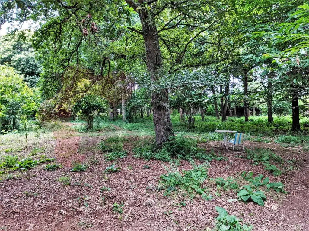 Casa o xalet en venda a Rábade