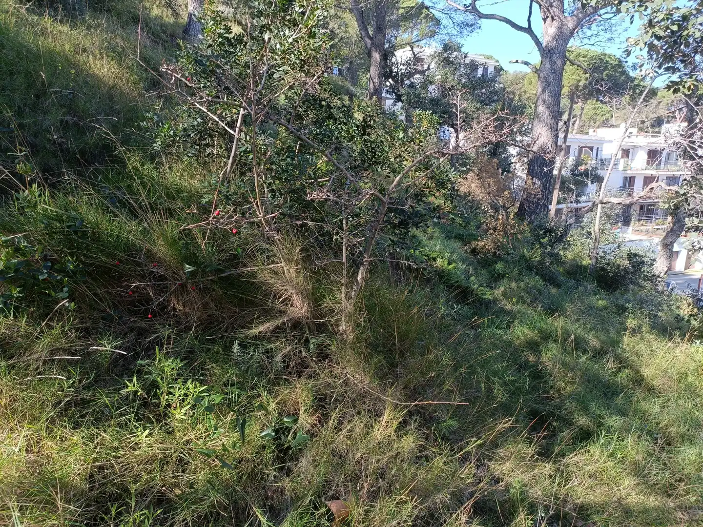 Residencial en venta en Tossa de Mar