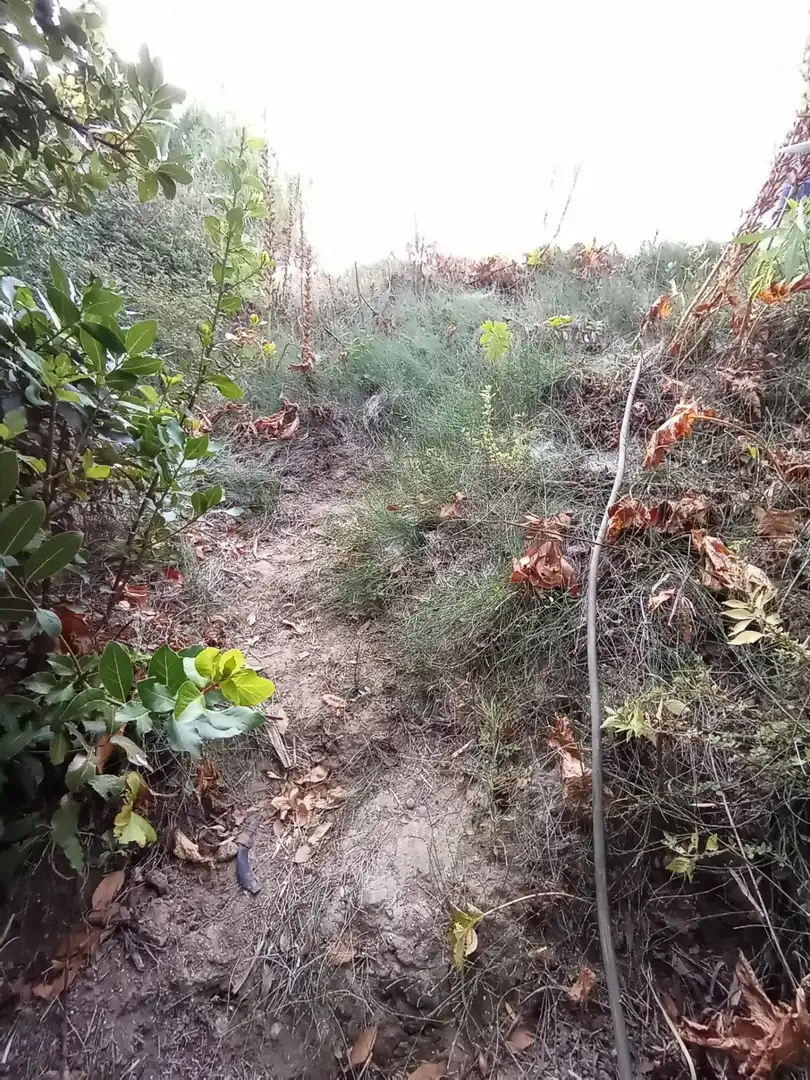 Terreny rústic en venda a Medina Sidonia, imagen 11