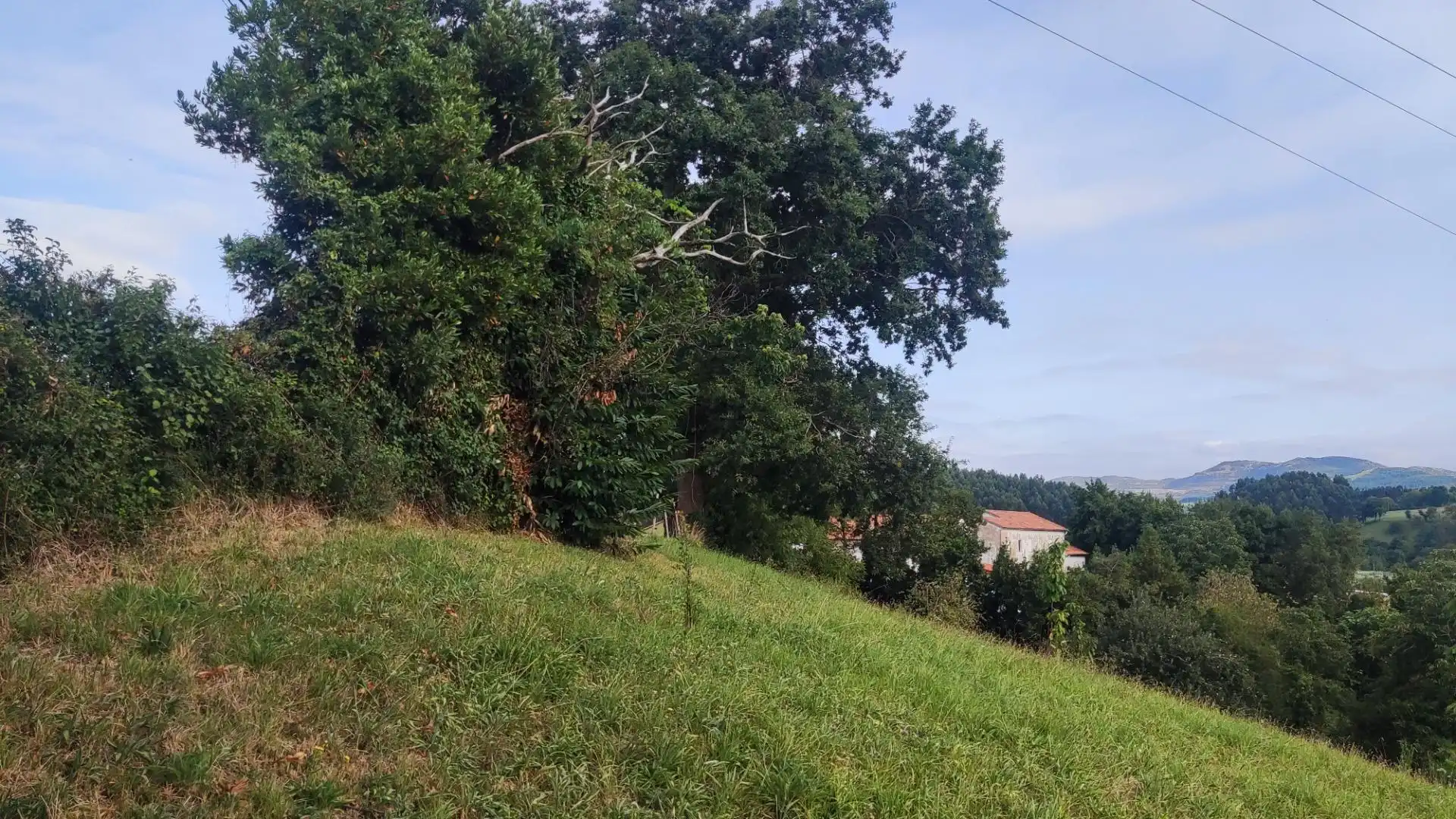 Terreno residenziale in vendita a Cartes, imagen 7