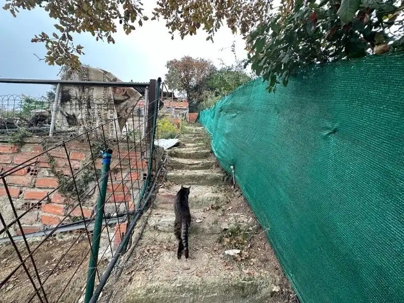Vista exterior de Casa o xalet en venda en Montcada i Reixac