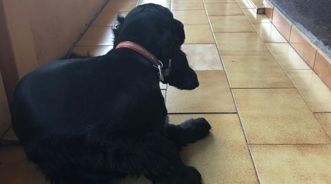 Foto 4 de Piso en venta en Avenida de las Ollerías, Ollerías - San Cayetano, Córdoba