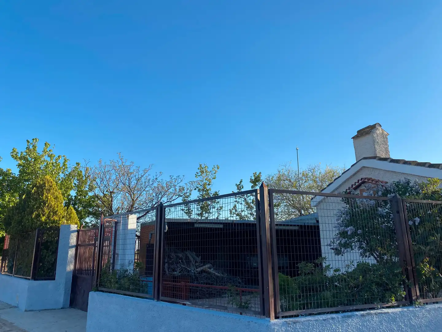 Vista exterior de Casa o chalet en venta en Tomelloso con Jardín privado, Trastero y Amueblado