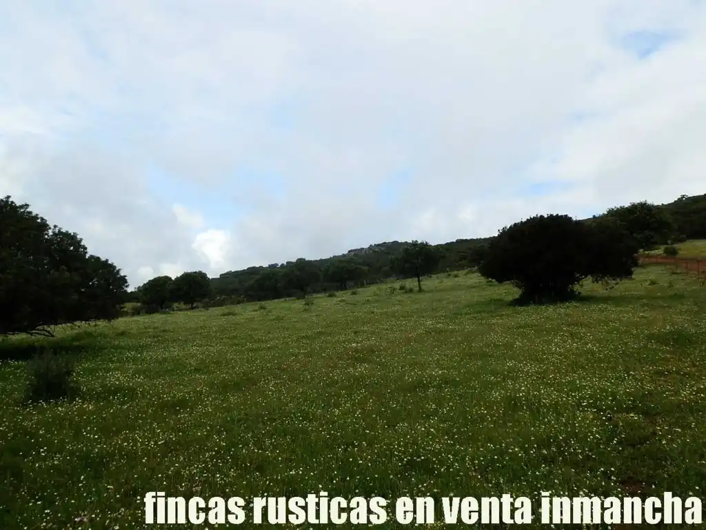 Terreno rústico en venta en Abenójar, imagen 5