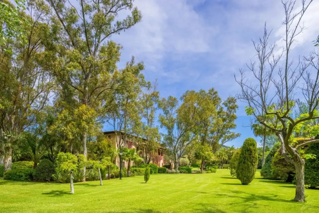 Landhaus mit Pool zum Verkauf in Pollença Poble, imagen 9