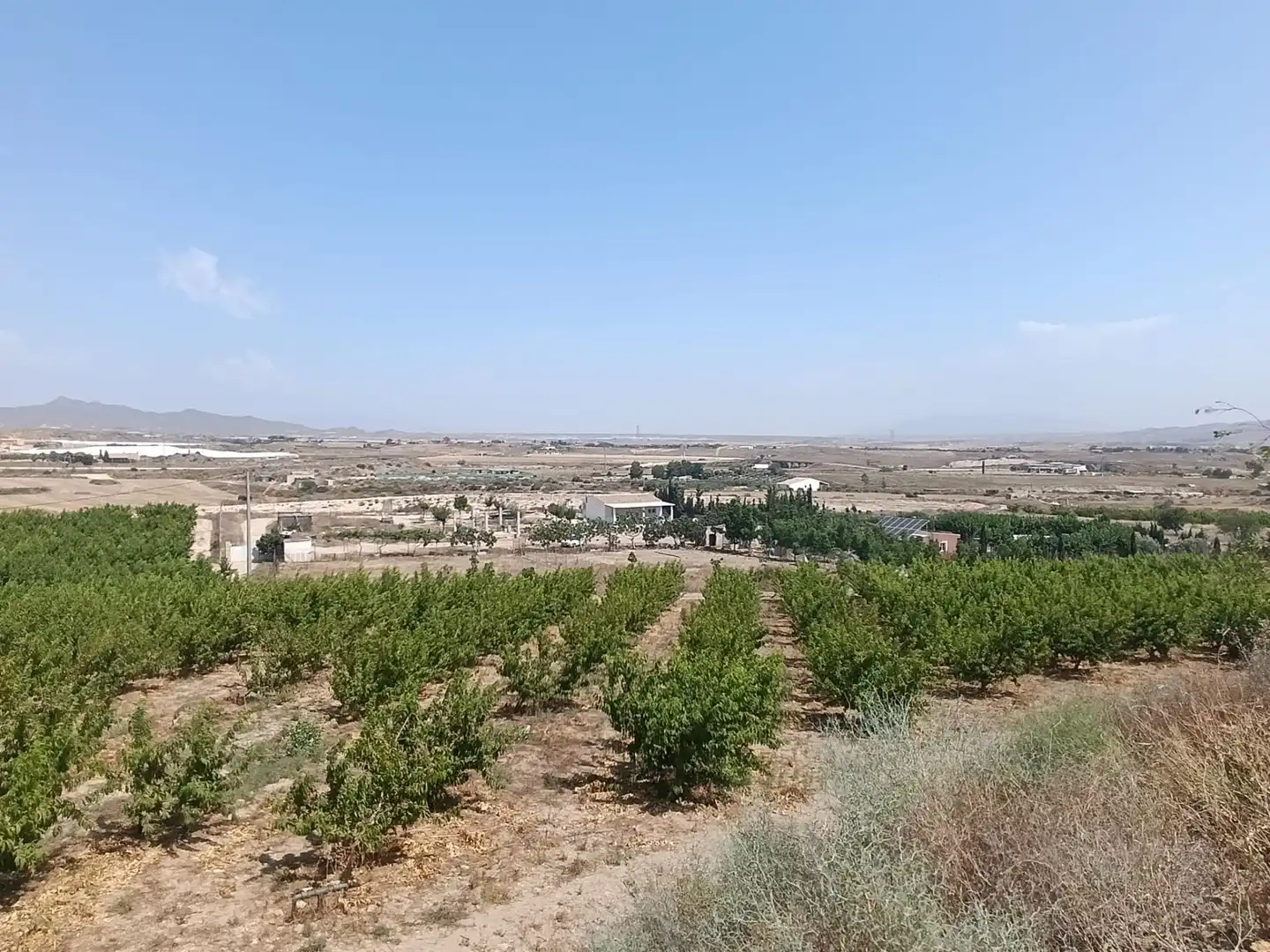 Land for sale in Mazarrón