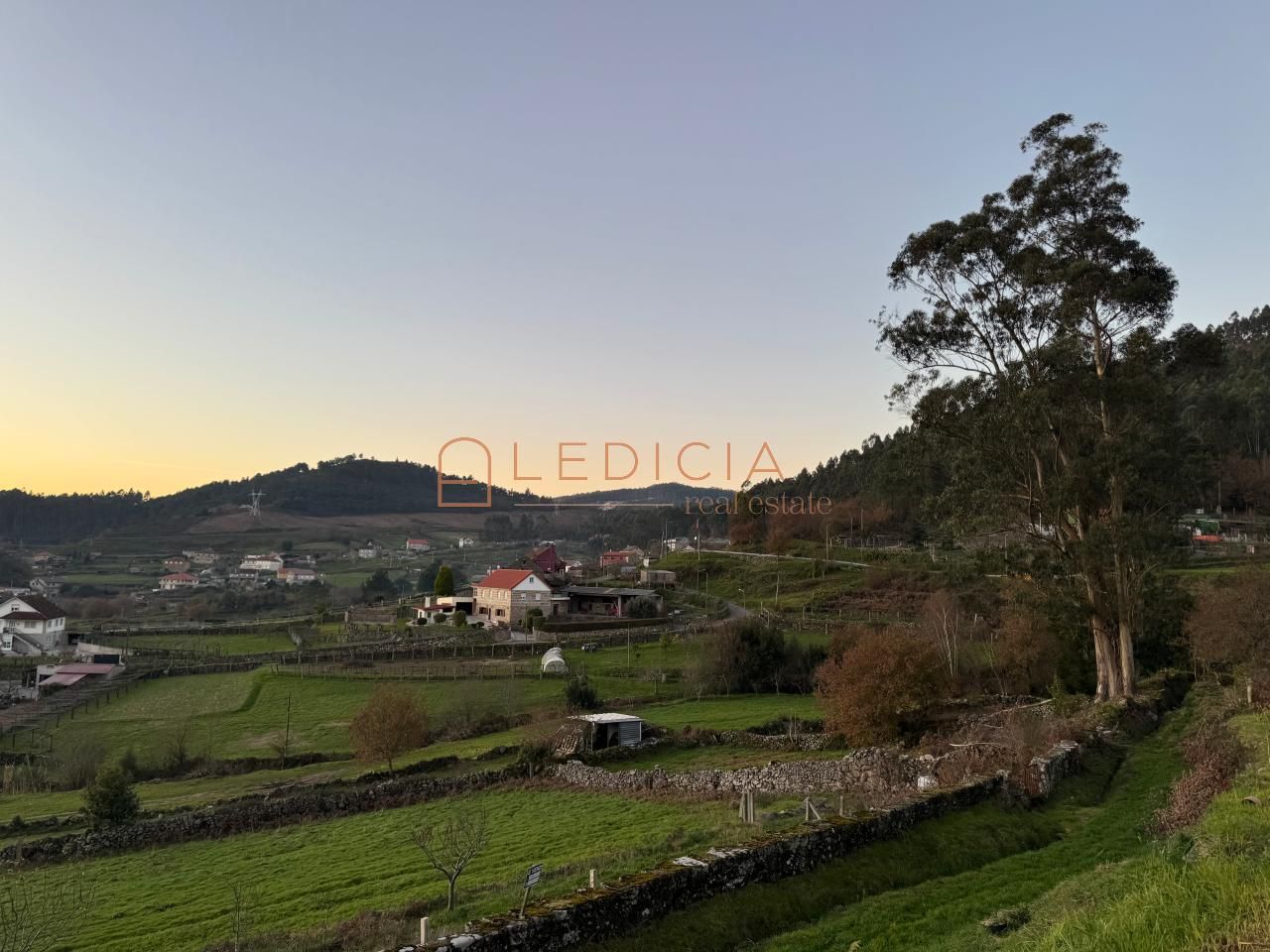 Vista exterior de Casa o xalet en venda en Pontevedra Capital  amb Jardí privat, Terrassa i Traster